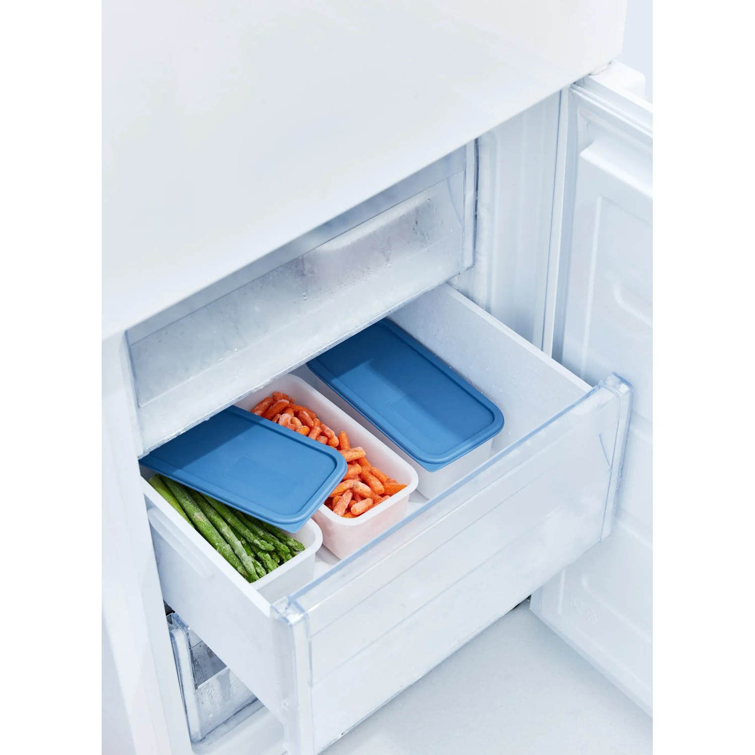 Rotho Domino Gefrierdosen-Set, 3-teilig, 1,2 l, horizontblau, im Gefrierschrank mit Gemüse.