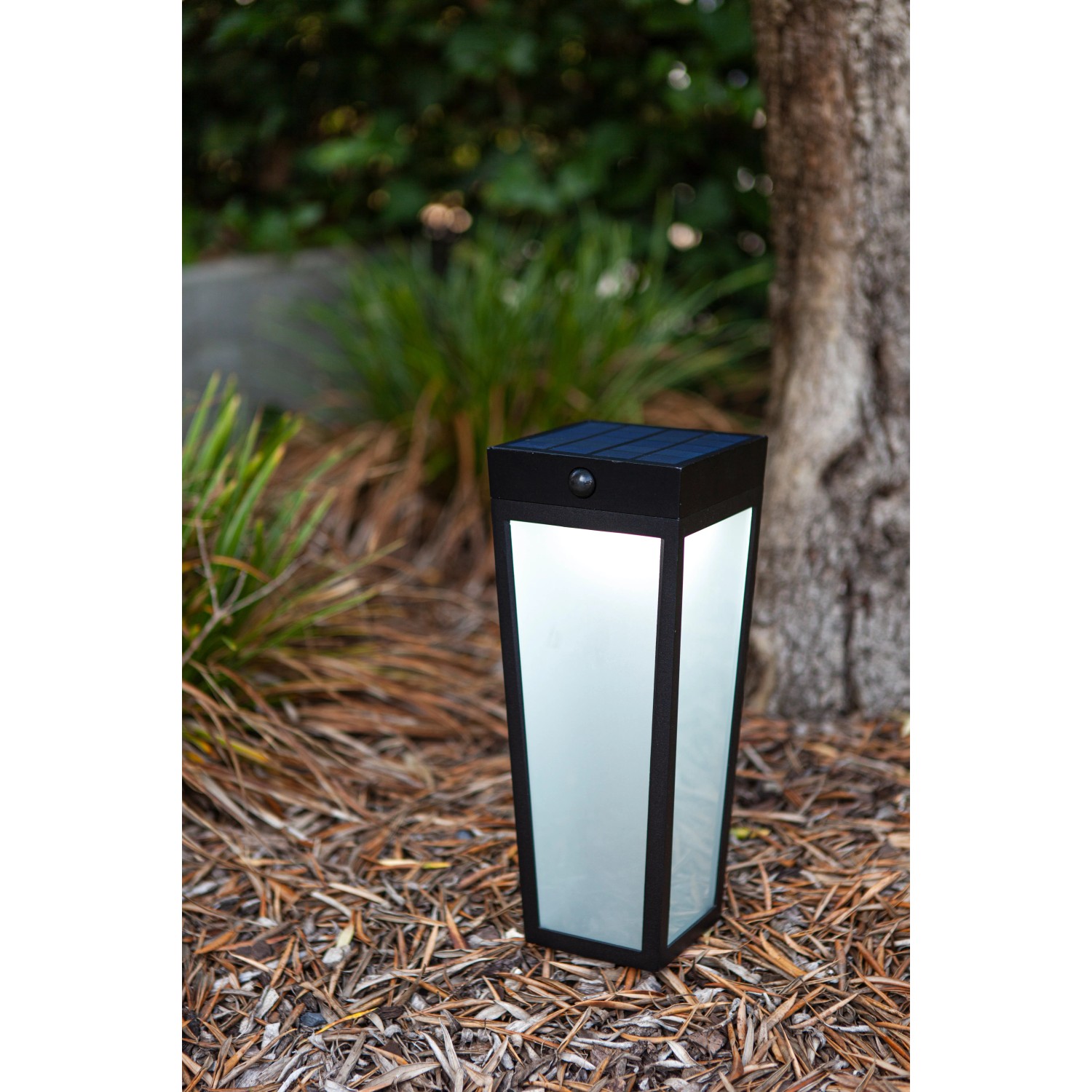 Moderne, mattschwarze Lutec LED Solar Wegeleuchte Dias im Garten.