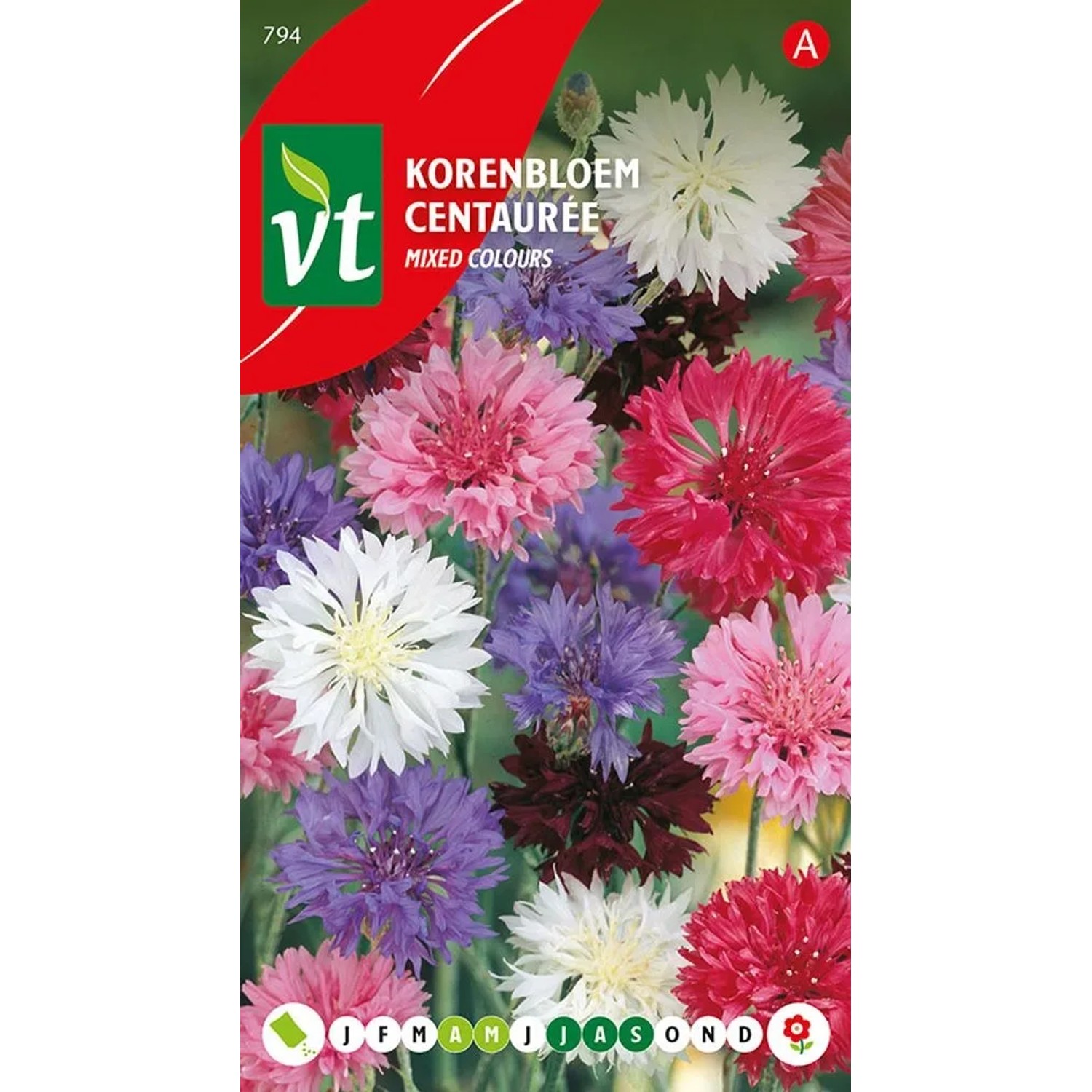 Tausendschön Mix Saatgut ca. 1 g Bunte Mischung