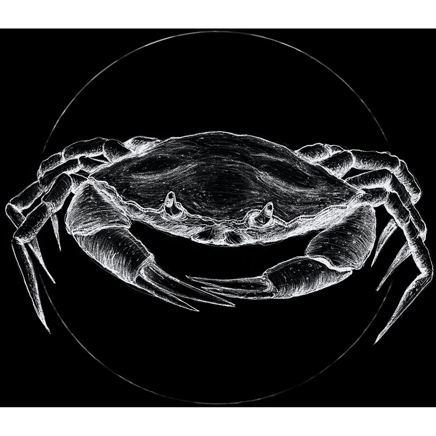 Komar Wandbild Crab Black 50 x 70 cm