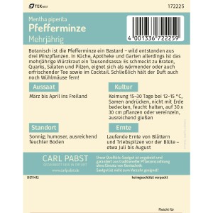 Pabst Keimkraft Pfefferminze Saatgut, mehrjährig und wüchsig.