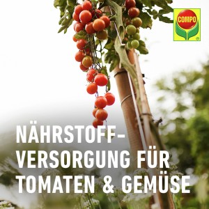 Compo Bio Tomaten- und Gemüse Düngestäbchen für gesunde Pflanzen und reiche Ernte.
