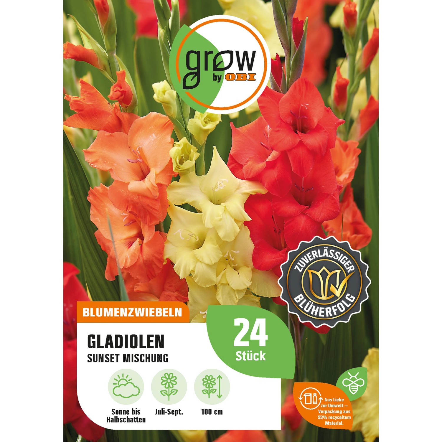 GROW by OBI Gladiolen Sunset Mischung Höhe ca. 100 cm Gladiolus grandifloru günstig online kaufen