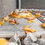 Schellenberg Lichtschachtabdeckung aus Aluminium, 50x125cm, mit Laub bedeckt.