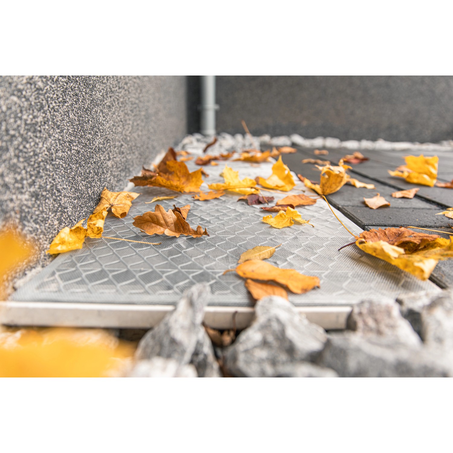 Schellenberg Lichtschachtabdeckung aus Aluminium, 50x125cm, mit Laub bedeckt.