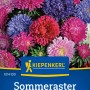 Kiepenkerl Sommeraster Amerikanische Busch-Mischung mit Blüten in verschiedenen Farben.
