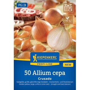 Kiepenkerl Steckzwiebel Crusado