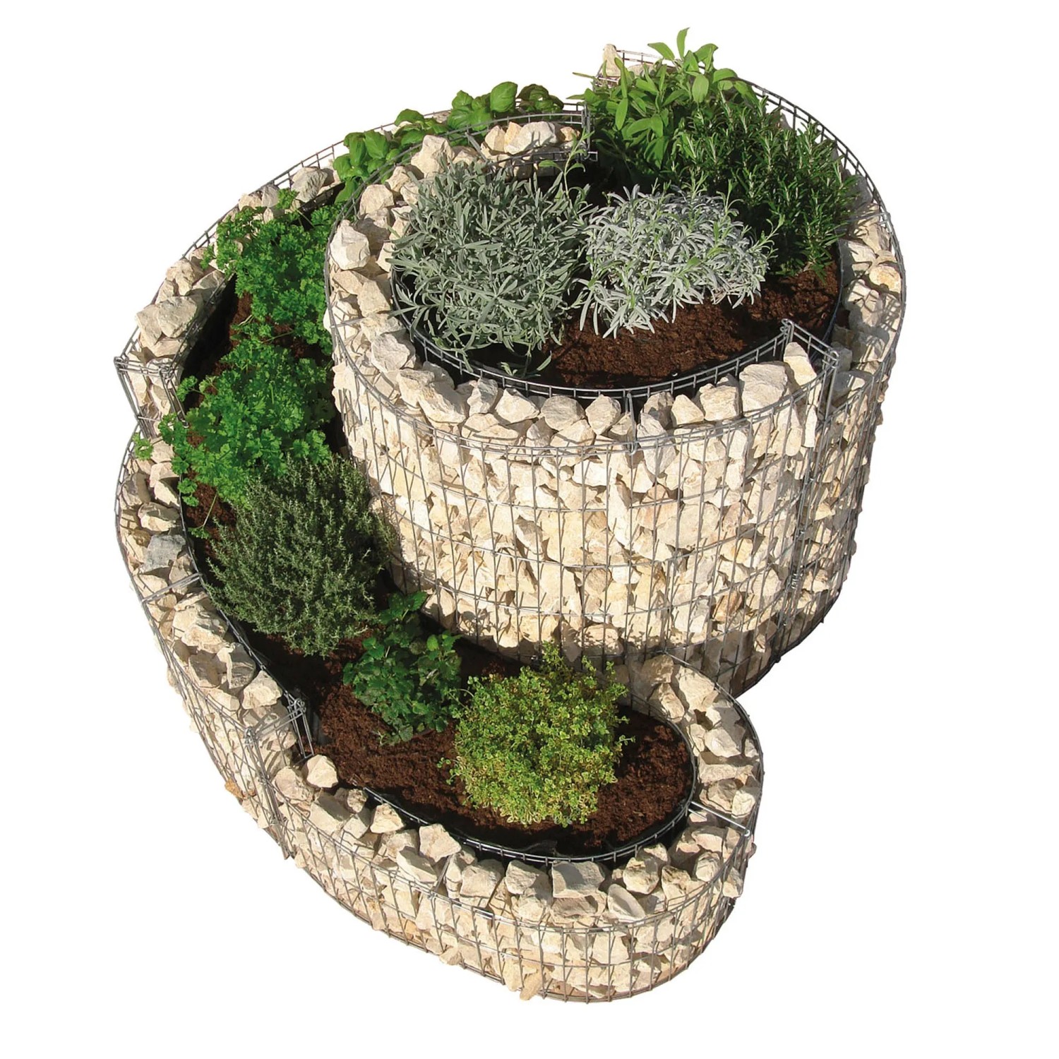 Bellissa Gabionen-Kräuterspirale, kleine Ausführung befüllt mit Steinen und bepflanzt mit Kräutern.
