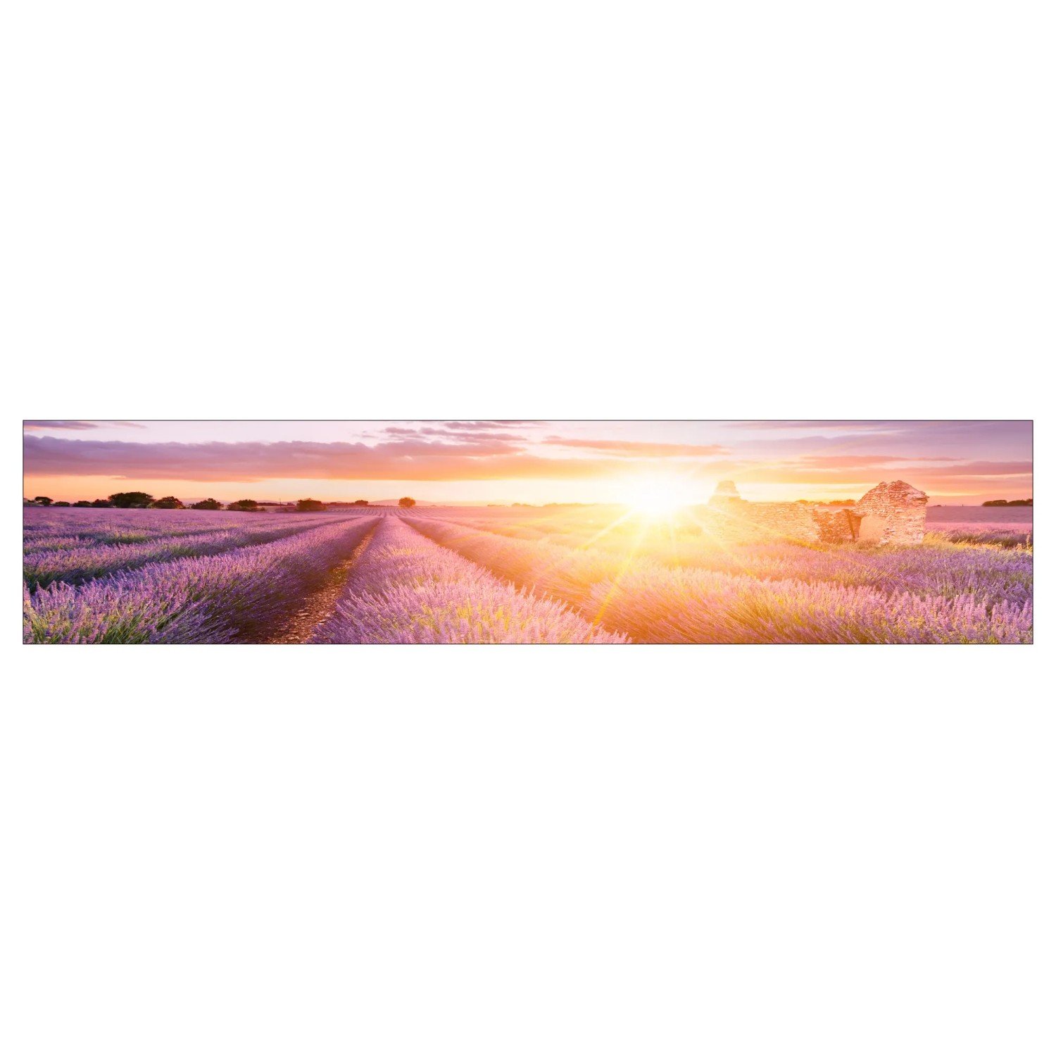 MySpotti Küchenrückwand Profix Cucina Provence 270 x 60 cm Lavendelviolett