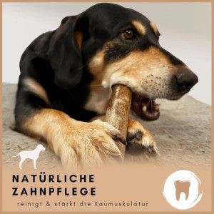 Supravit Olivenholz Größe S  Kauspielzeug für Hunde