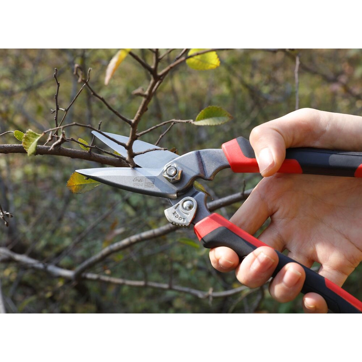 Erdi Combi-Schere D52-2 im Einsatz beim Schneiden eines dünnen Astes.