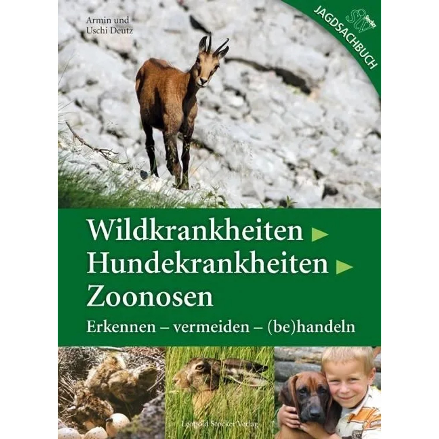 Wildkrankheiten > Hundekrankheiten > Zoonosen