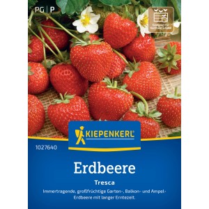 Kiepenkerl Erdbeeren Fresca: Samen für immertragende, rote Erdbeeren.