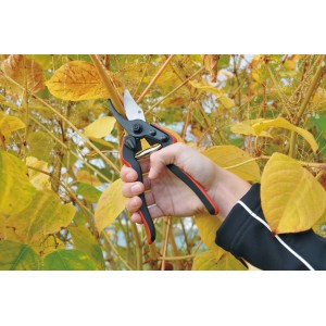 Felco Gartenschere 160L in Aktion: Hand schneidet Pflanze. Ideal für kleine Hände.