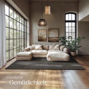 Anthrazitfarbener Tectake Kurzflorteppich (200x290 cm) im Wohnzimmer.