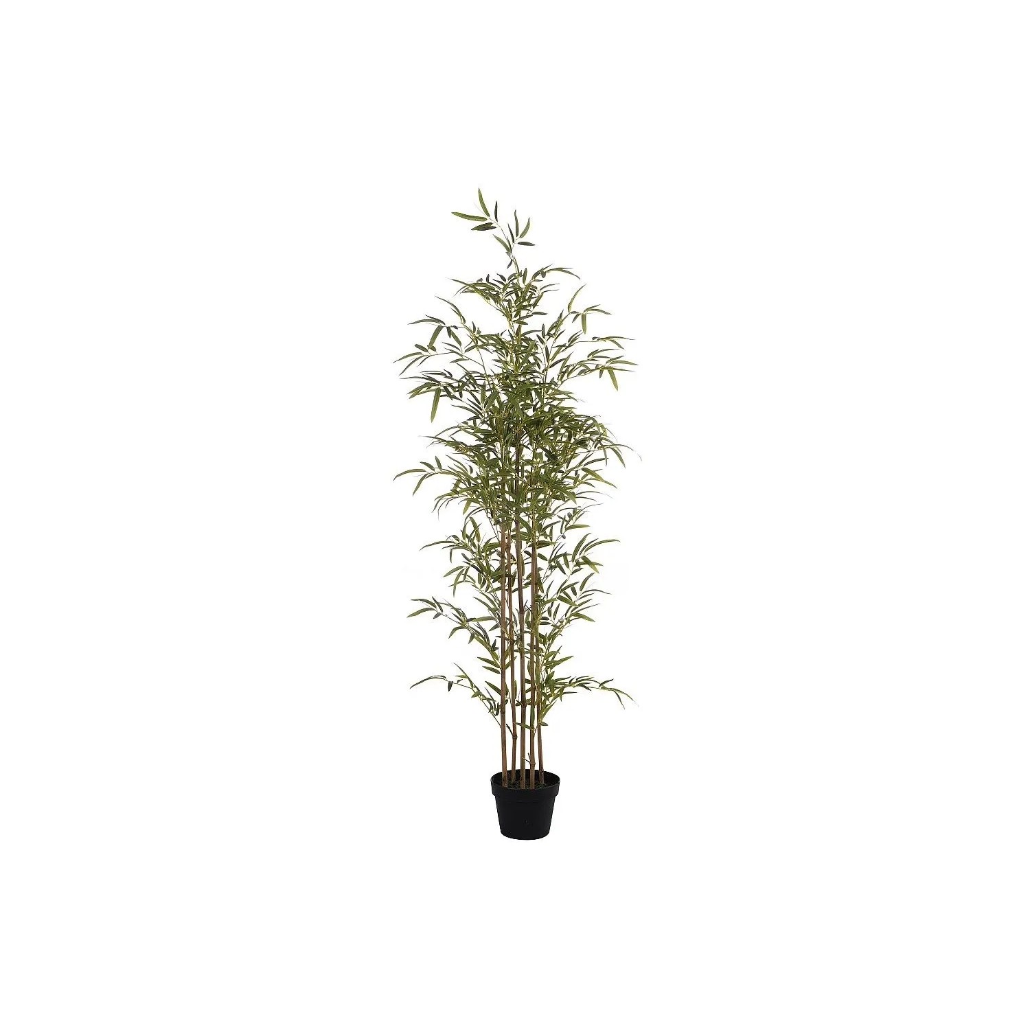 Vente-unique Kunstpflanze Mucuri Grün  Naturfarben Hell 50 cm