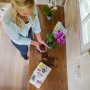 Frau topft Orchidee mit Floragard Bio-Orchideenerde um. Torffreie Spezialerde im 2 x 3 l Pack.