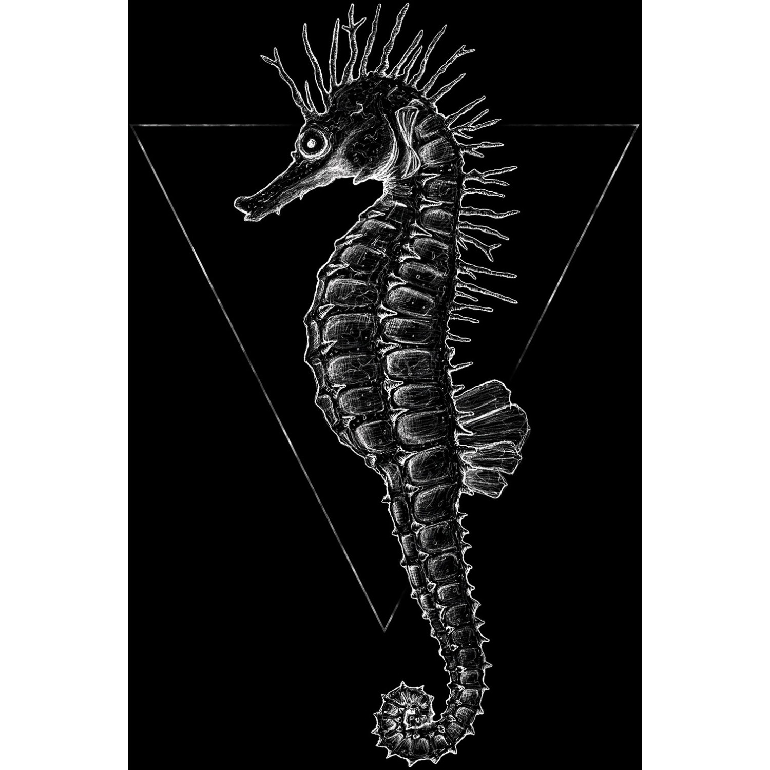 Komar Wandbild Sea Horse Black 30 x 40 cm