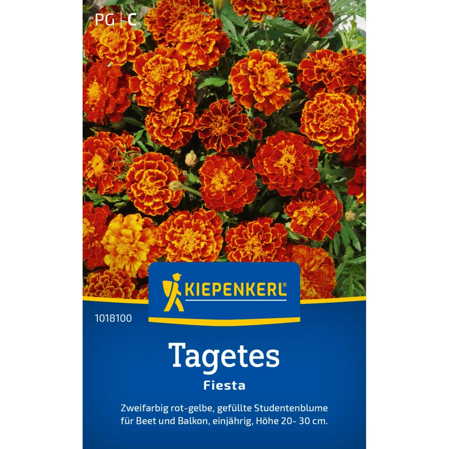 Kiepenkerl Studentenblume "Fiesta" Orangerot