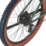 Detailaufnahme Hinterrad Prophete E-Bike MTB Dice 1.0, bronze-grün matt, mit Shimano Altus Schaltung.