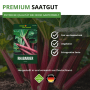 Deine Gartenwelt Rhabarber Rot Samenpackung vor roten Rhabarberpflanzen. Premium Saatgut, gentechnikfrei, ungebeizt.