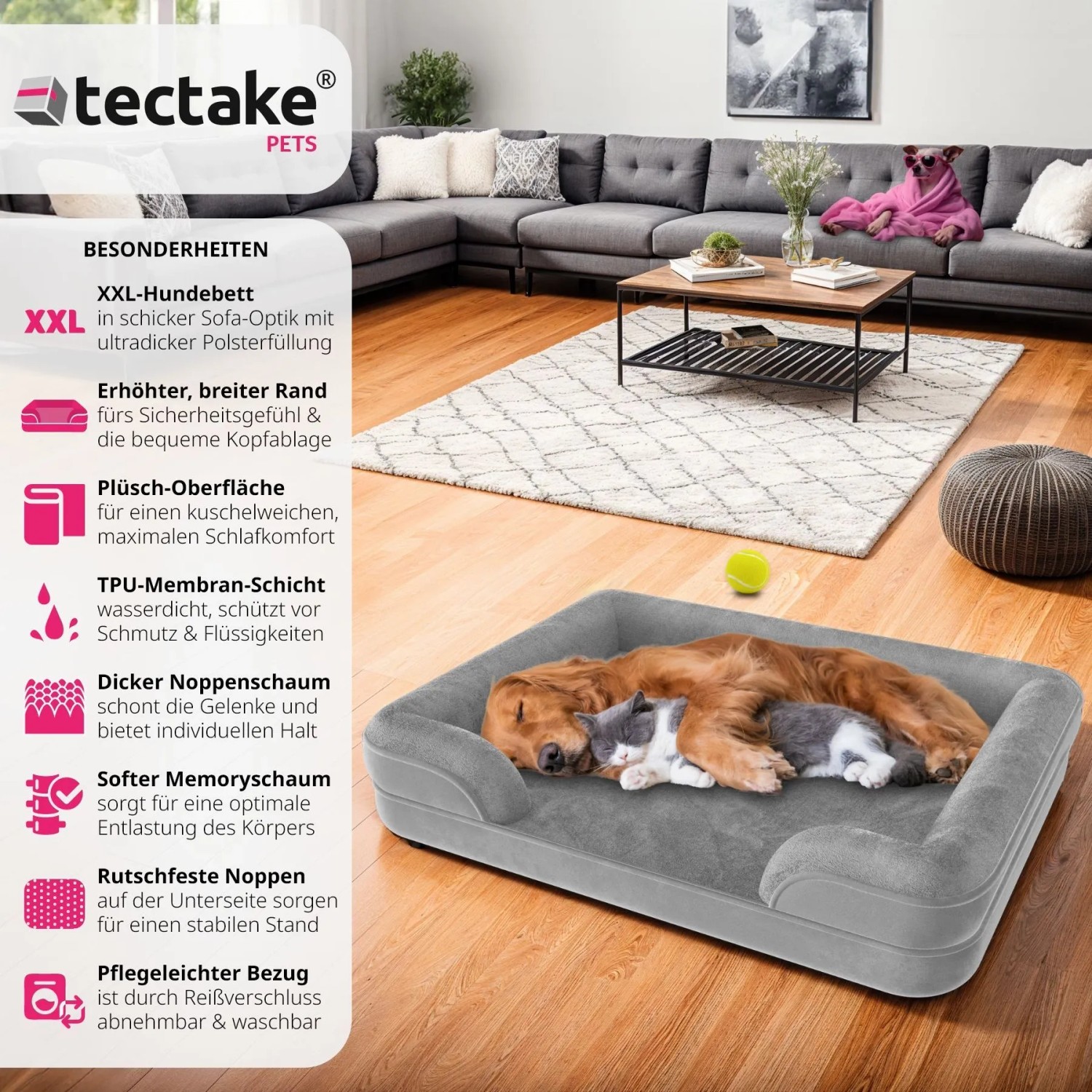 Graues Tectake Hundebett Kimba XL mit Hund und Katze im Wohnzimmer.