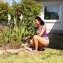 Schwarze Krähenattrappe aus Kunststoff als Vogelschreck im Garten. Frau platziert Taubenabwehr zwischen Blumen.