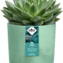 Elho Blumentopf Ocean Collection, Ø 22 cm, pazifikgrün, mit Sukkulente.