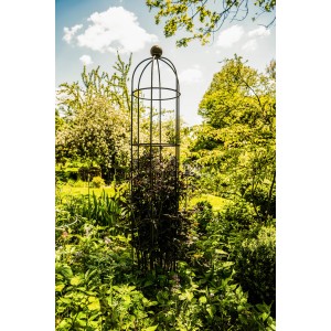 Rankhilfe Obelisk kaufen bei OBI
