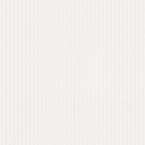 Weiße Vliestapete mit feinen beigen Streifen, Tapete Streifen Romeo von Tadessi.