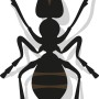 Grafik einer Ameise, Symbol für Ungezieferbekämpfung mit Nexa Lotte Ungezieferspray.