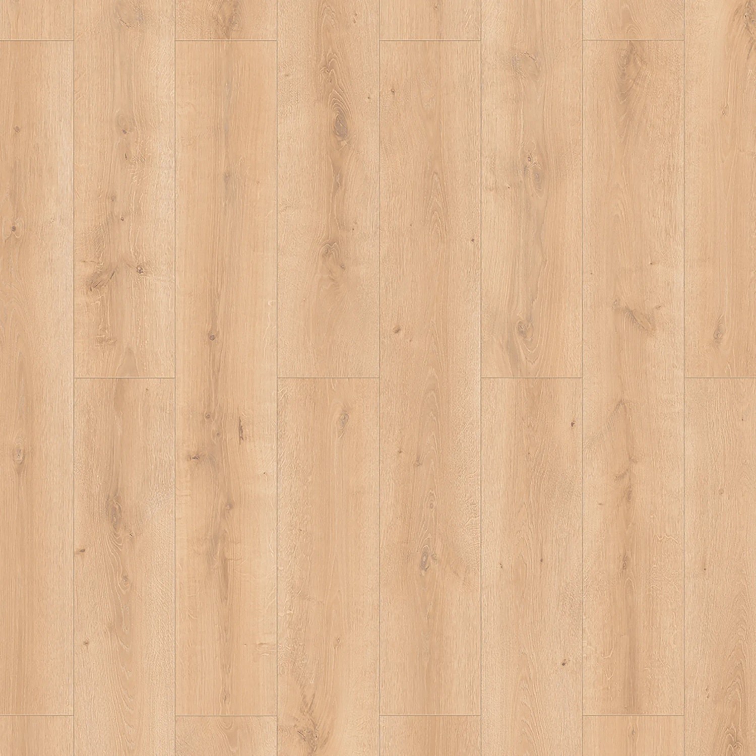 Classen Laminat 8mm, wasserfest, Eiche Creme Natur, Holzbodenoptik.