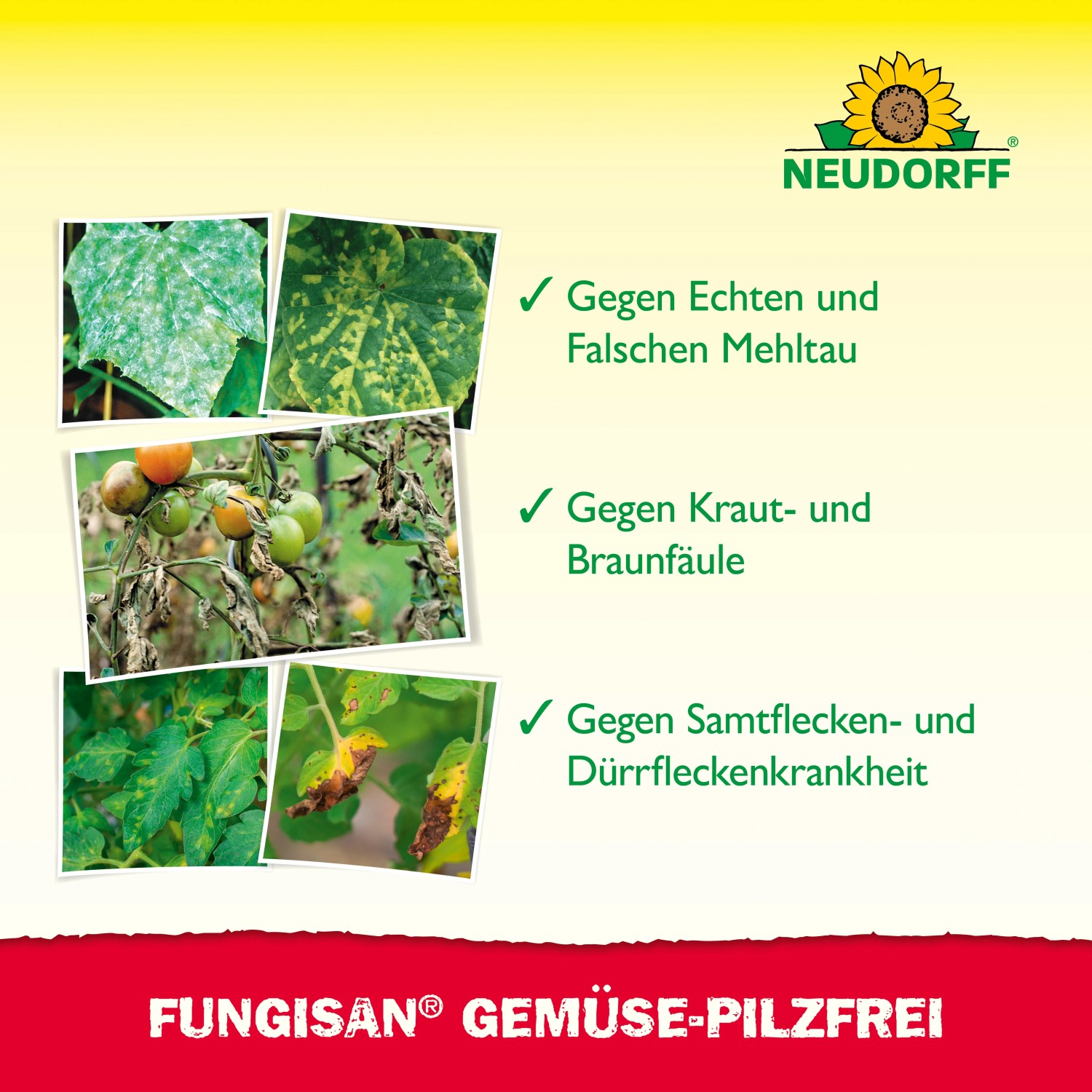 Neudorff Fungisan Gemüse-Pilzfrei 1l: Gegen Pilzbefall an Gemüse wie Mehltau und Krautfäule.