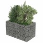 Furnicato Gabionen-Hochbeet aus verzinktem Stahl, 90x50x50 cm, befüllt mit Steinen und bepflanzt.
