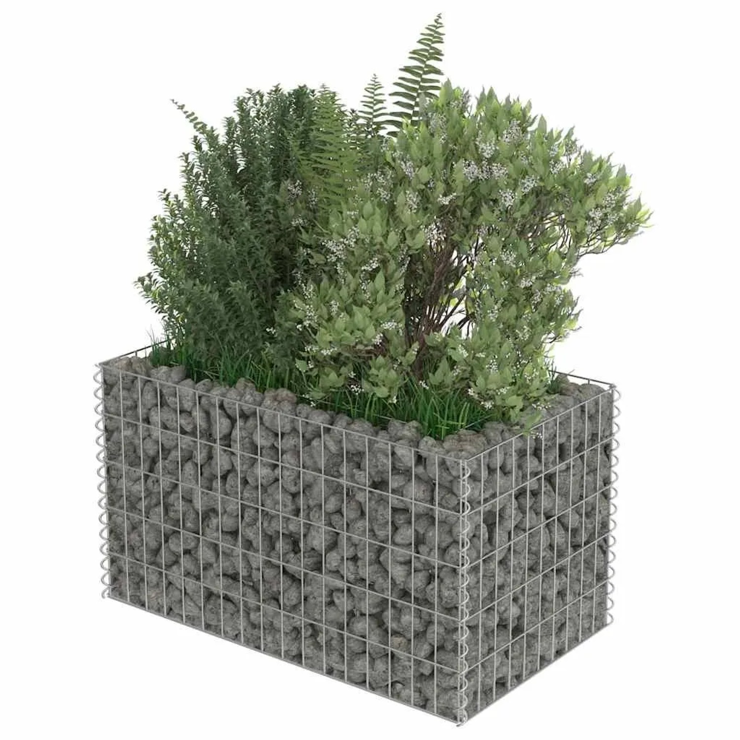 Furnicato Gabionen-Hochbeet aus verzinktem Stahl, 90x50x50 cm, befüllt mit Steinen und bepflanzt.