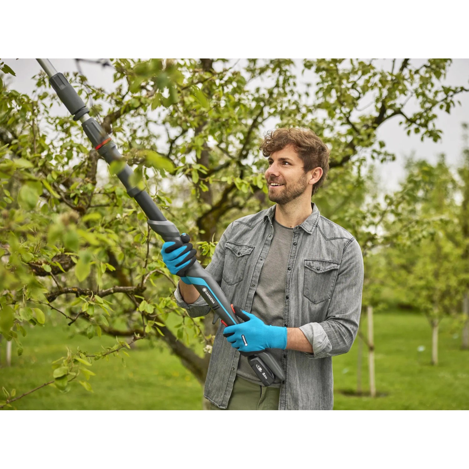 Mann schneidet Äste mit der Gardena Akku-Teleskop-Baumschere HighCut 250/18V P4A solo im Garten.