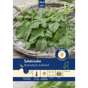 Pabst Keimkraft Salatrauke Saatgut, aromatische Blätter in einem Korb.