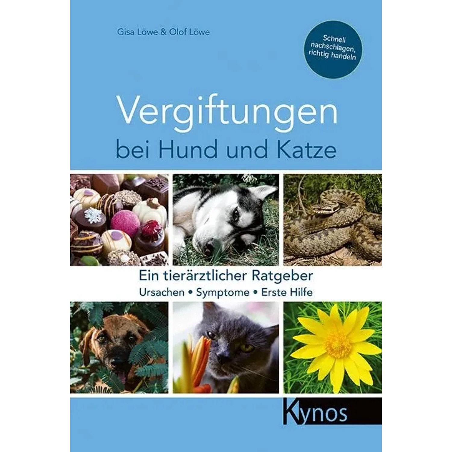 Vergiftungen bei Hund und Katze