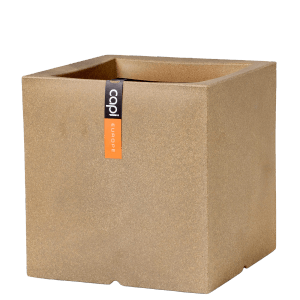 Capi Europe Blumentopf Quadratisch Smooth NL 50 cm x 50 cm x 50 cm Beige