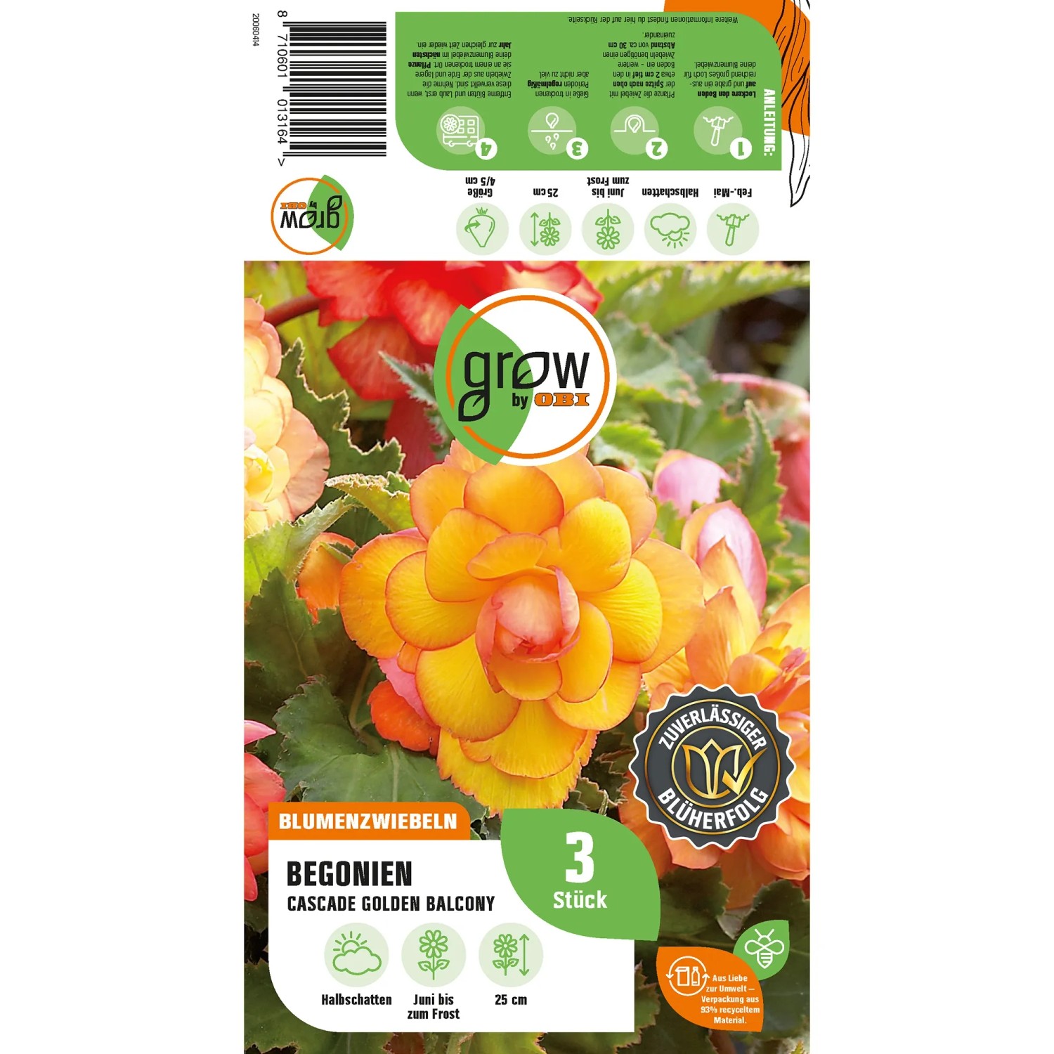 GROW by OBI Begonie Cascade Golden Balcony mit goldgelben Blüten, ideal für Balkonkästen.