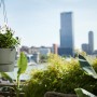 Laubgrüne Elho Hängeampel Greenville (Ø 24cm) mit weißen Blüten vor Stadtkulisse.