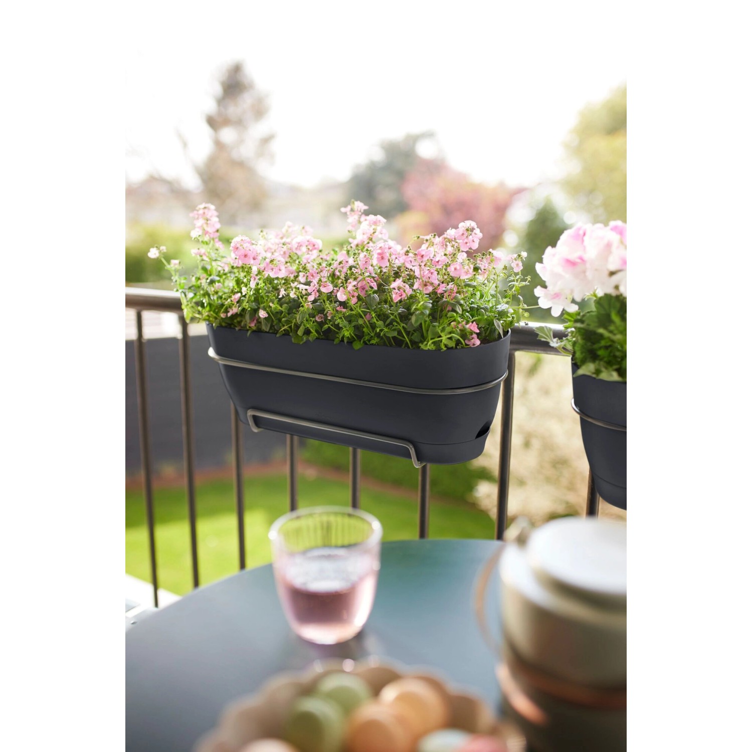 Anthrazitfarbener Elho Balkonkasten Vibia Campana 50 cm mit pinken Blumen am Balkongeländer.
