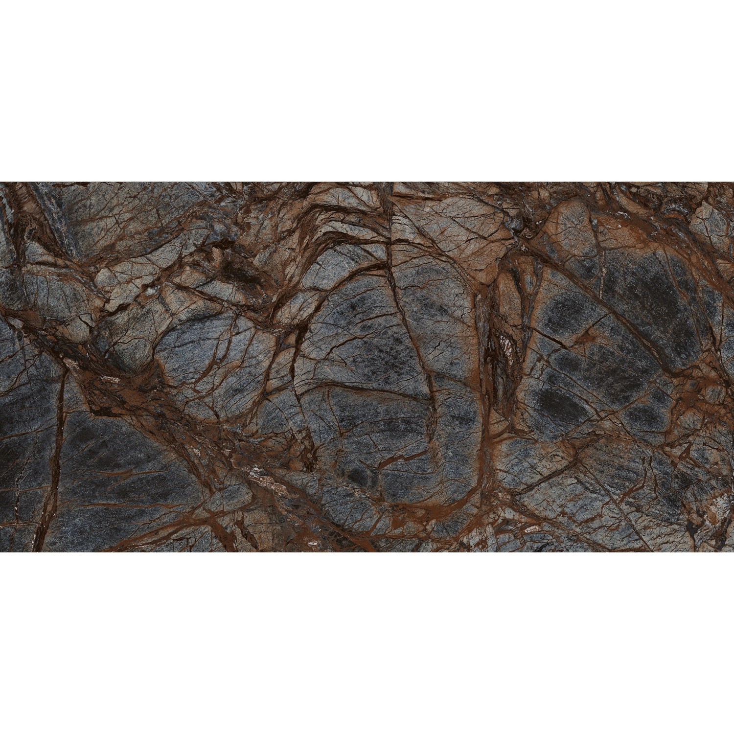 Bodenfliese Feinsteinzeug 60 cm x 120 cm günstig online kaufen