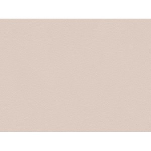 A.S. Creation Vliestapete Glatte Wand in Cappuccino mit feiner Struktur.