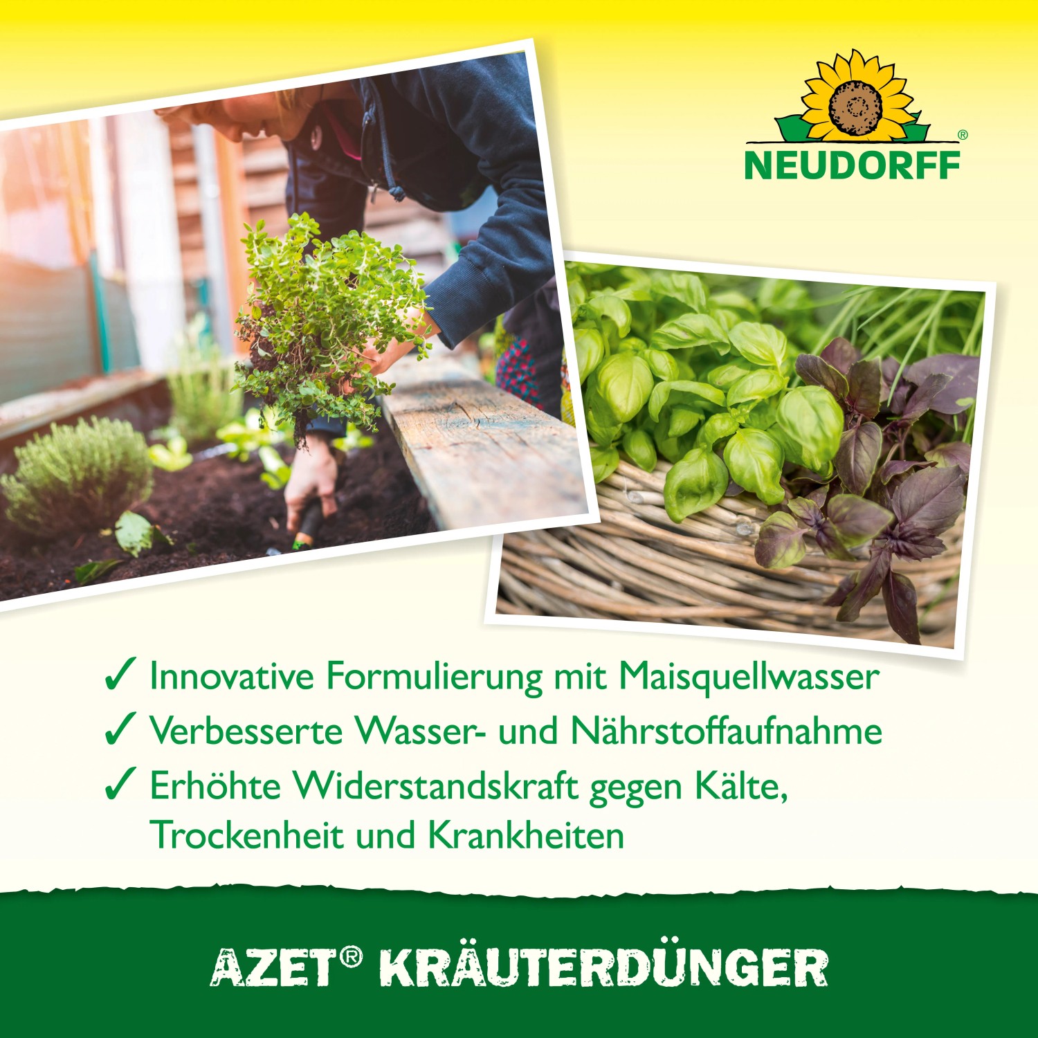 Neudorff Azet Kruterdnger flssig 250 ml kaufen bei OBI