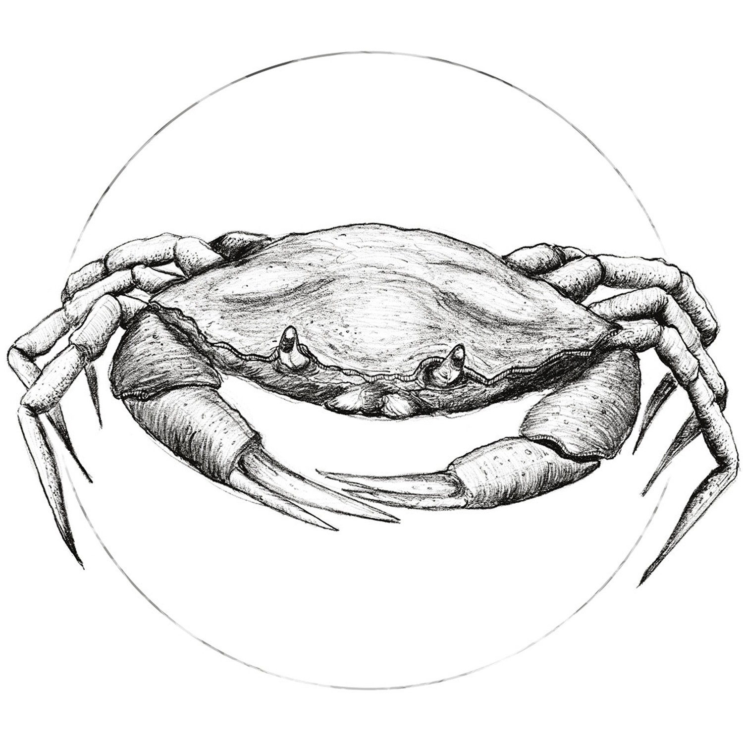 Komar Wandbild Crab White 40 x 50 cm