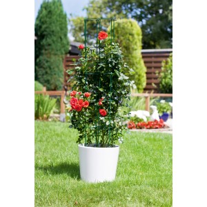 Grünes, verzahnbares Rankgitter (110 cm) mit Rose im weißen Topf. Ideal als Rankhilfe.