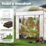 Weißes Tomatengewächshaus mit Folie im Garten, gefüllt mit reifen Tomatenpflanzen. Zeigt Rolltür, stabile Stahlrohre & Verankerung.