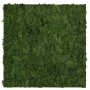 Jangal Wandpaneel Modular Wall Dark Green Moos, 52x52 cm, für natürliche Wanddekoration.