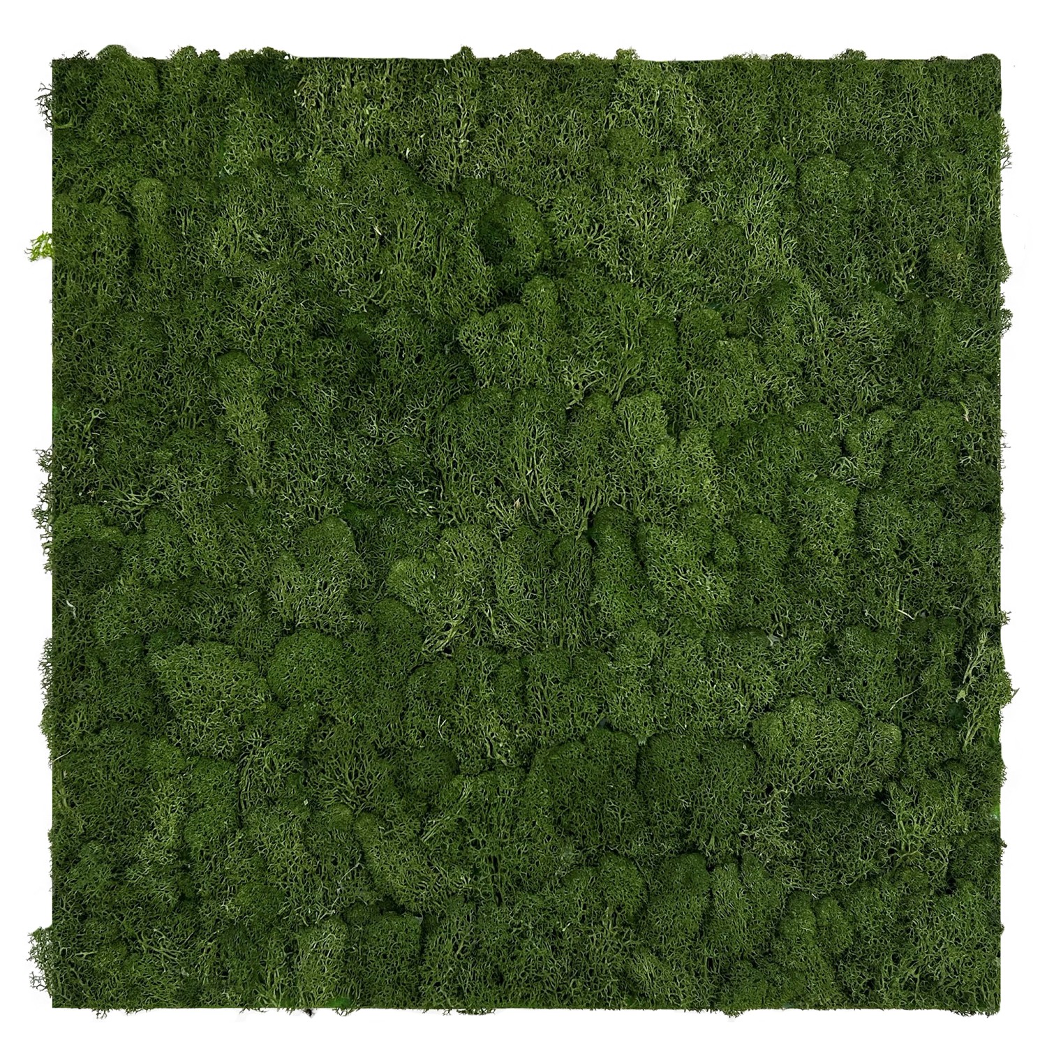 Jangal Wandpaneel Modular Wall Dark Green Moos 52 x 52 cm günstig online kaufen